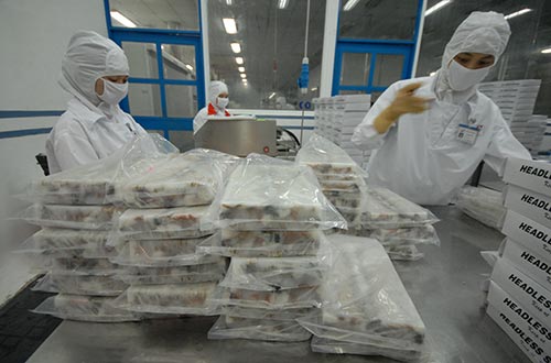 Chương tr&igrave;nh t&aacute;i cấu tr&uacute;c đang mở ra cơ hội tốt M&A trong ng&agrave;nh thủy sản. (Ảnh chỉ mang t&iacute;nh minh họa) Ảnh: Nguyễn Hải