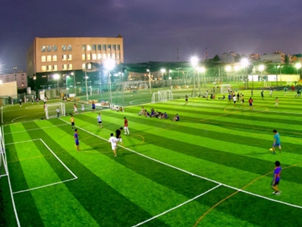 Kinh doanh sân bóng mini: Dễ mà khó