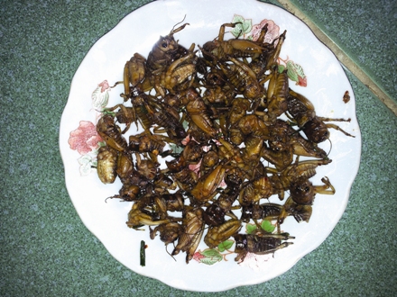 
	Ti&ecirc;n tiến trở th&agrave;nh đặc sản được b&agrave;y b&aacute;n trong c&aacute;c nh&agrave; h&agrave;ng