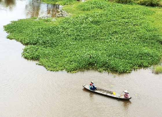 Nhớ tiếng gọi đò
