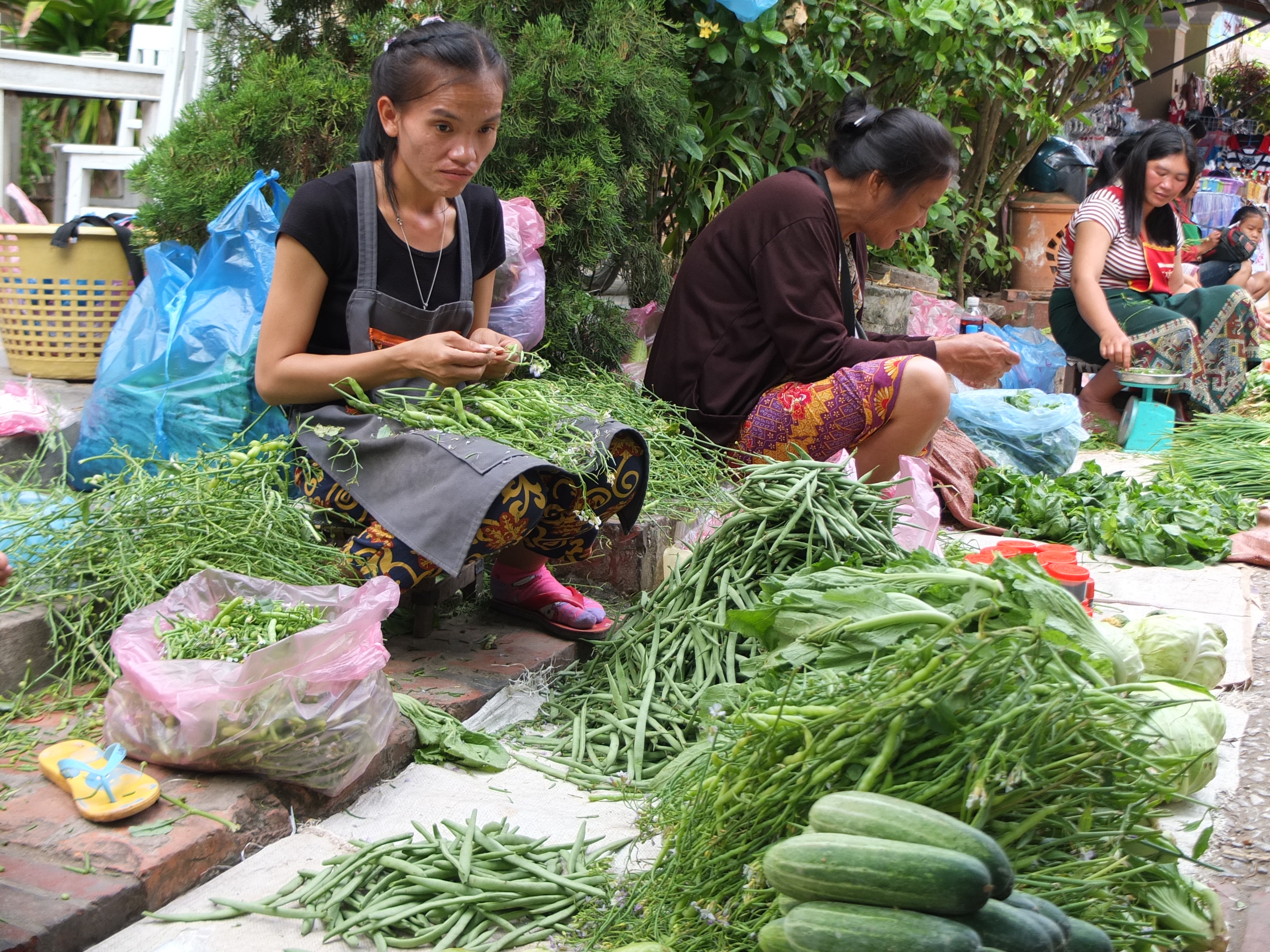 B&aacute;n tr&aacute;i cải non, d&ugrave;ng để nấu canh