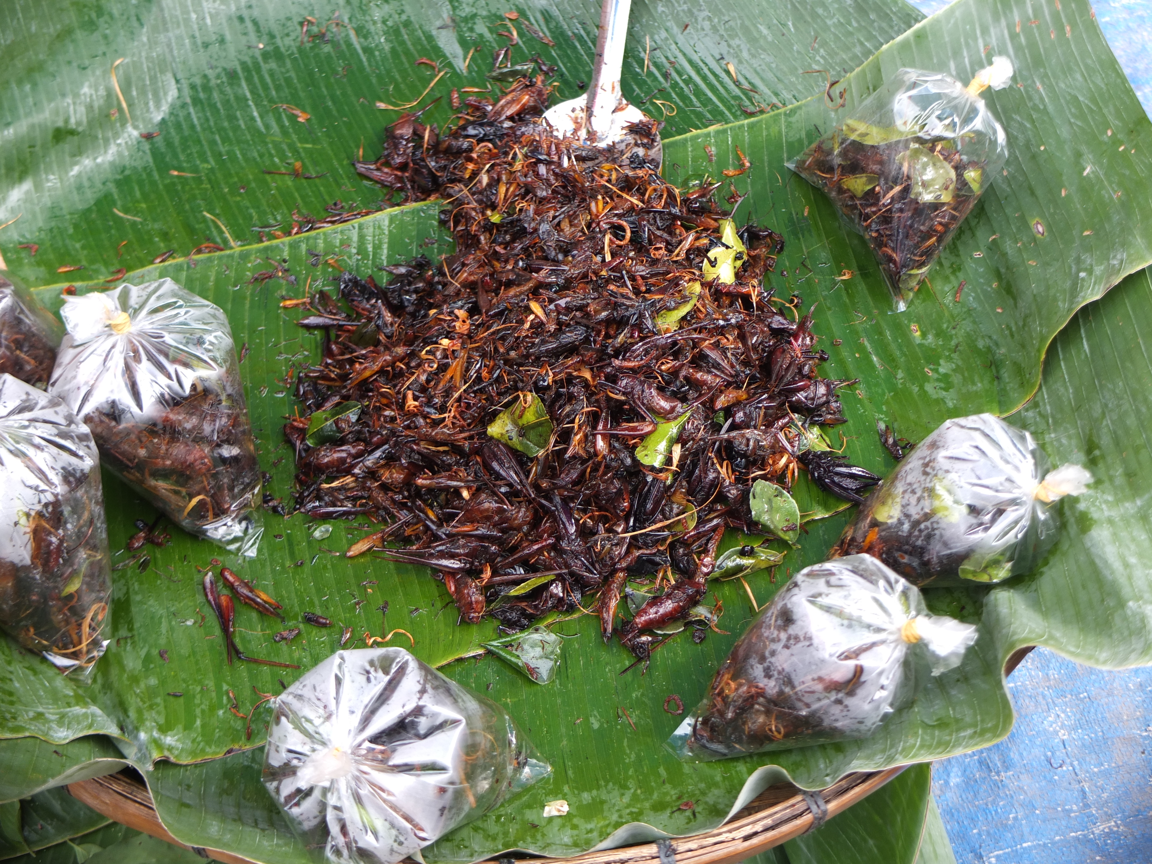 C&oacute; cả dế cơm chi&ecirc;n gi&ograve;n