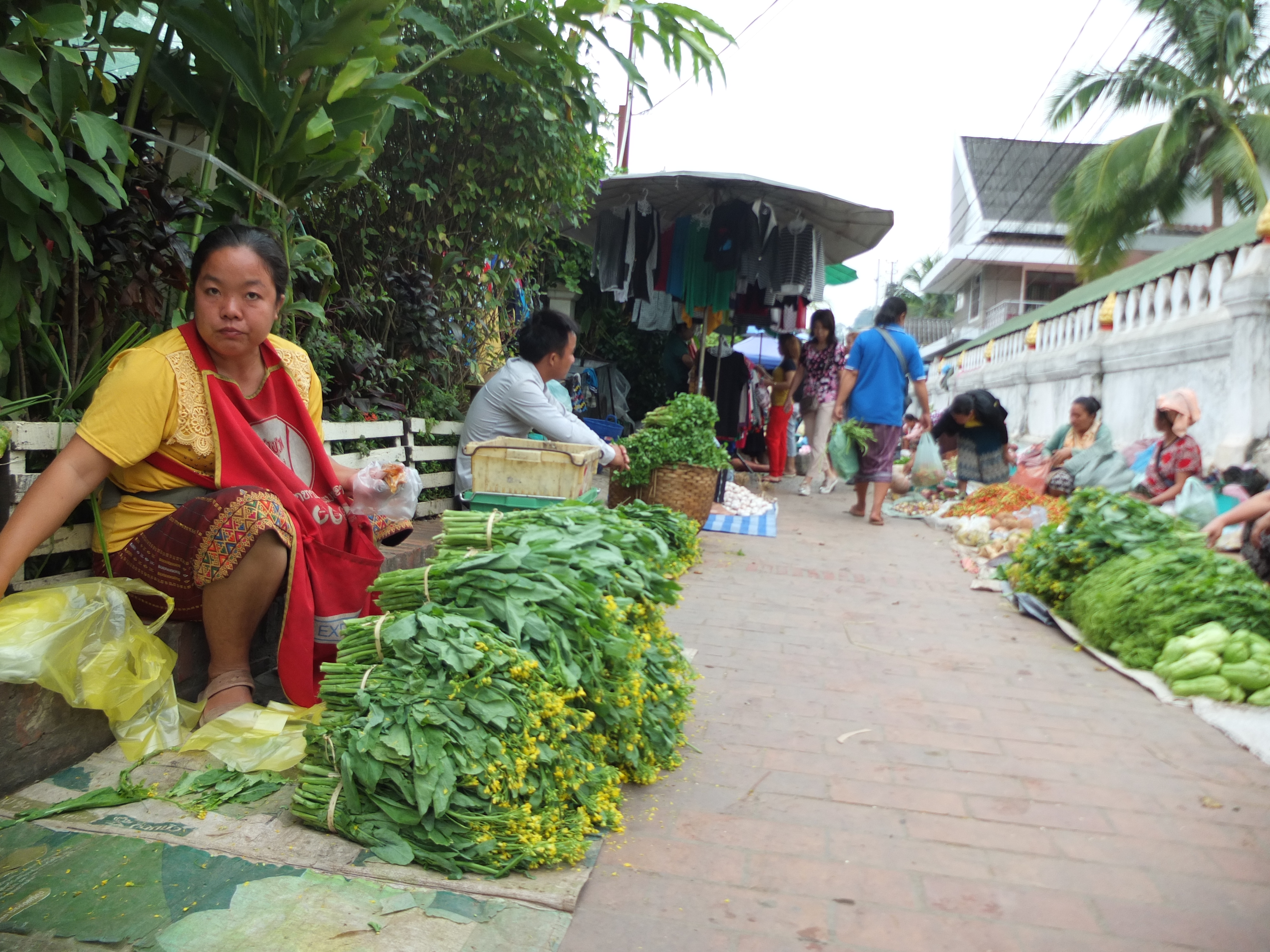 D&ugrave; kh&ocirc;ng mướt m&aacute;t nhưng thực phẩm ở L&agrave;o tr&ocirc;ng c&oacute; vẻ l&agrave; rau sạch