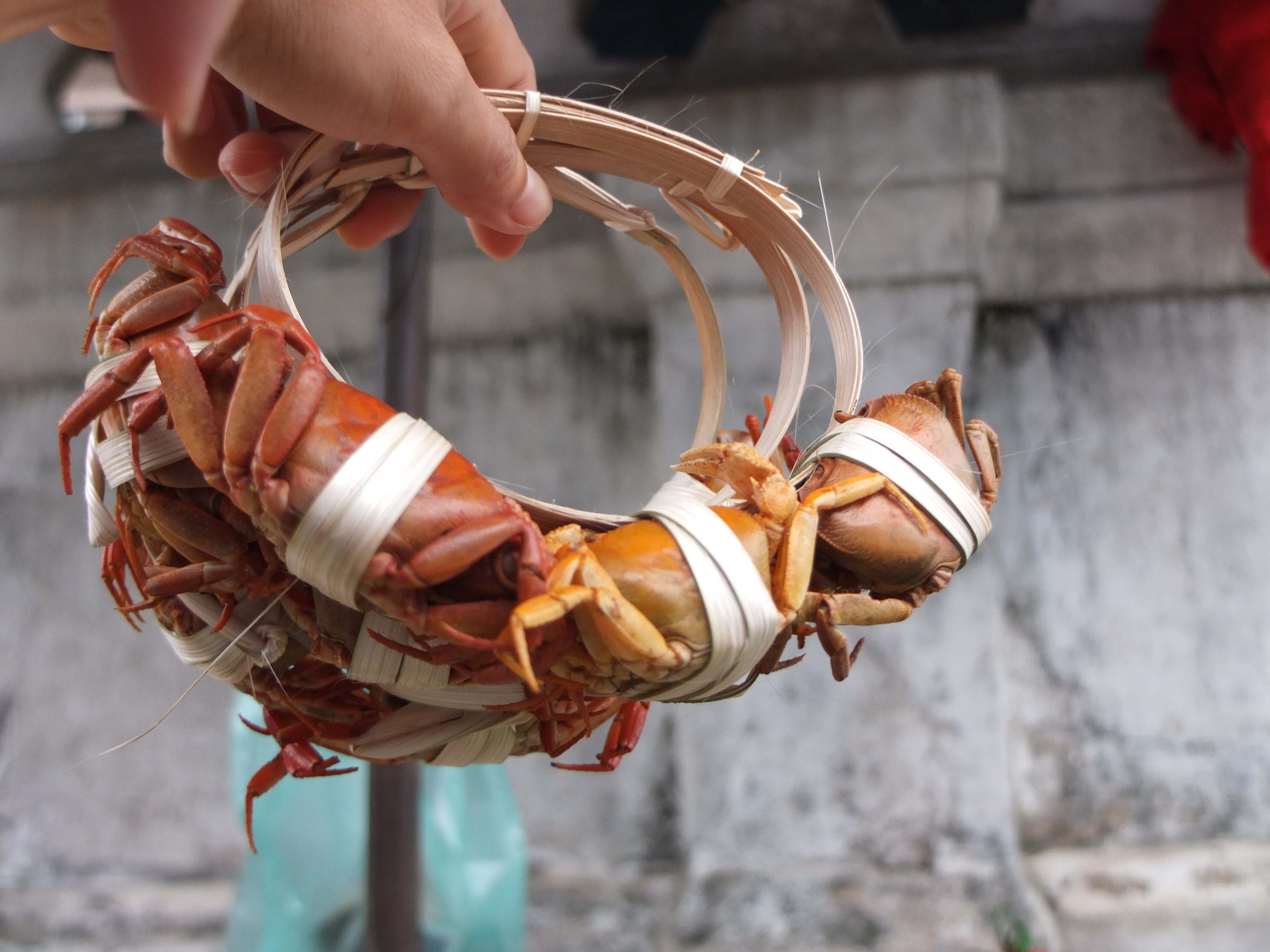 Cua luộc sẵn v&agrave; được g&oacute;i g&eacute;m rất kh&eacute;o tay.