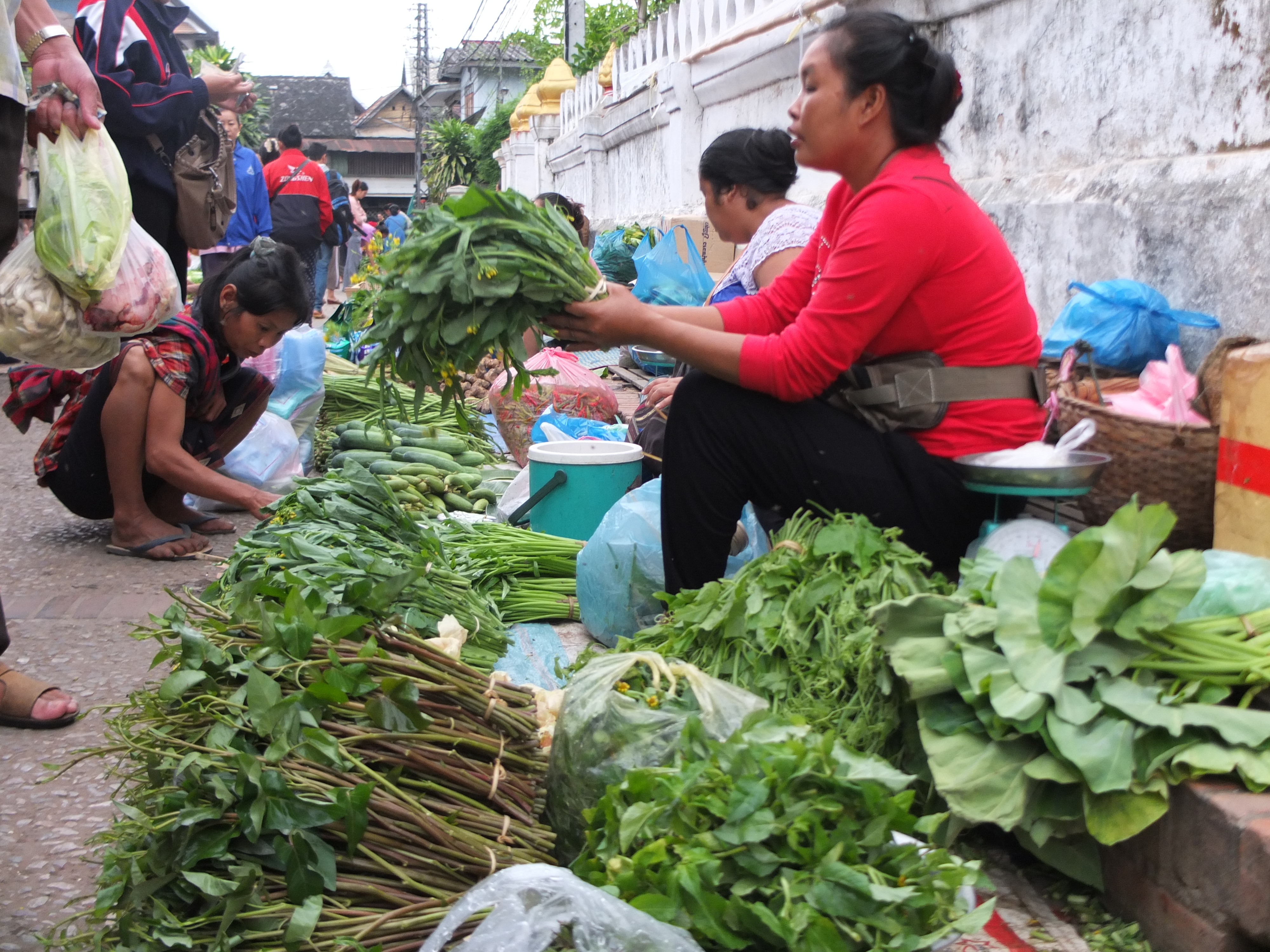 Người L&agrave;o thường ăn rau muống t&iacute;m thay v&igrave; rau muống trắng như ch&uacute;ng ta.