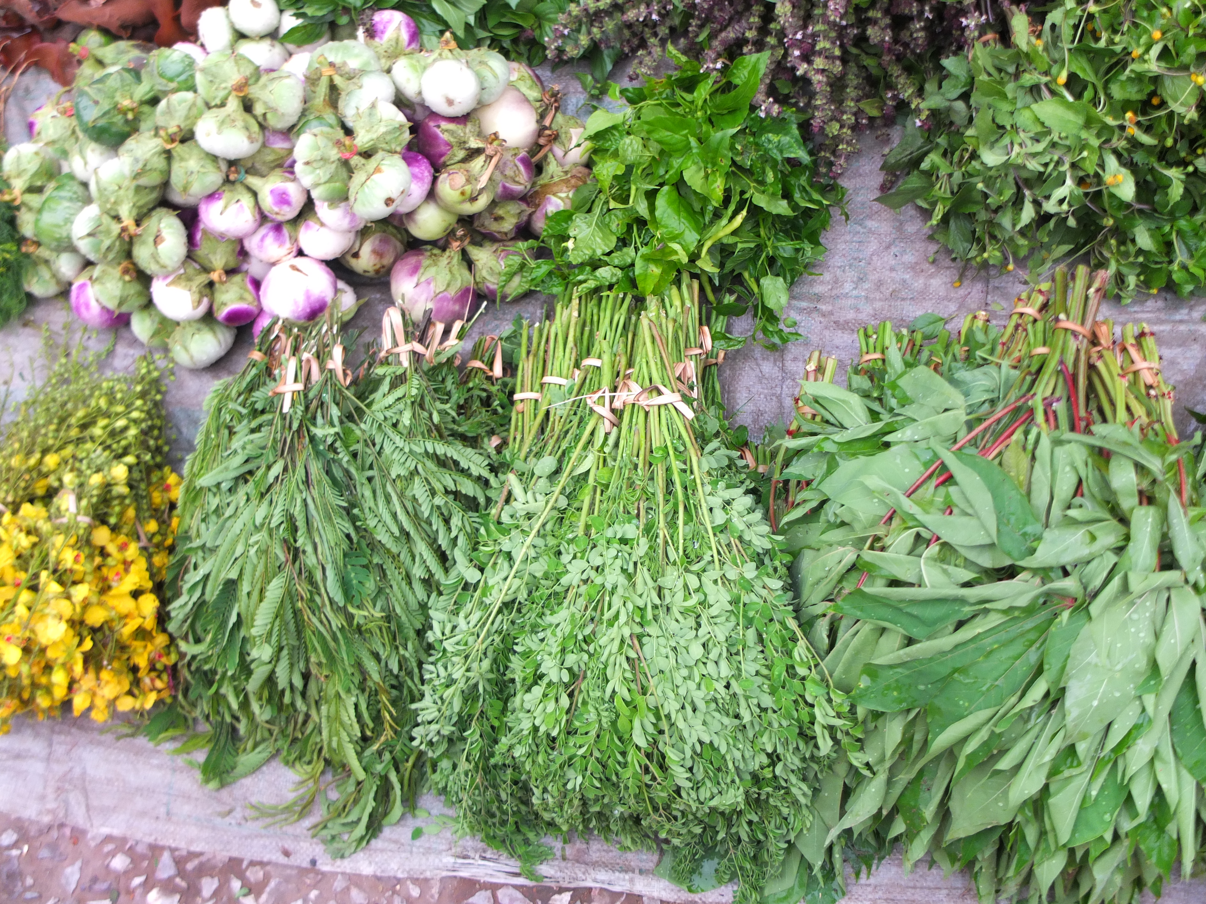 Đọt m&igrave;, rau c&uacute;c &aacute;o v&agrave; nhiều lo&agrave;i rau dại kh&aacute;c được b&aacute;n rất nhiều trong chợ ở Luang Prabang