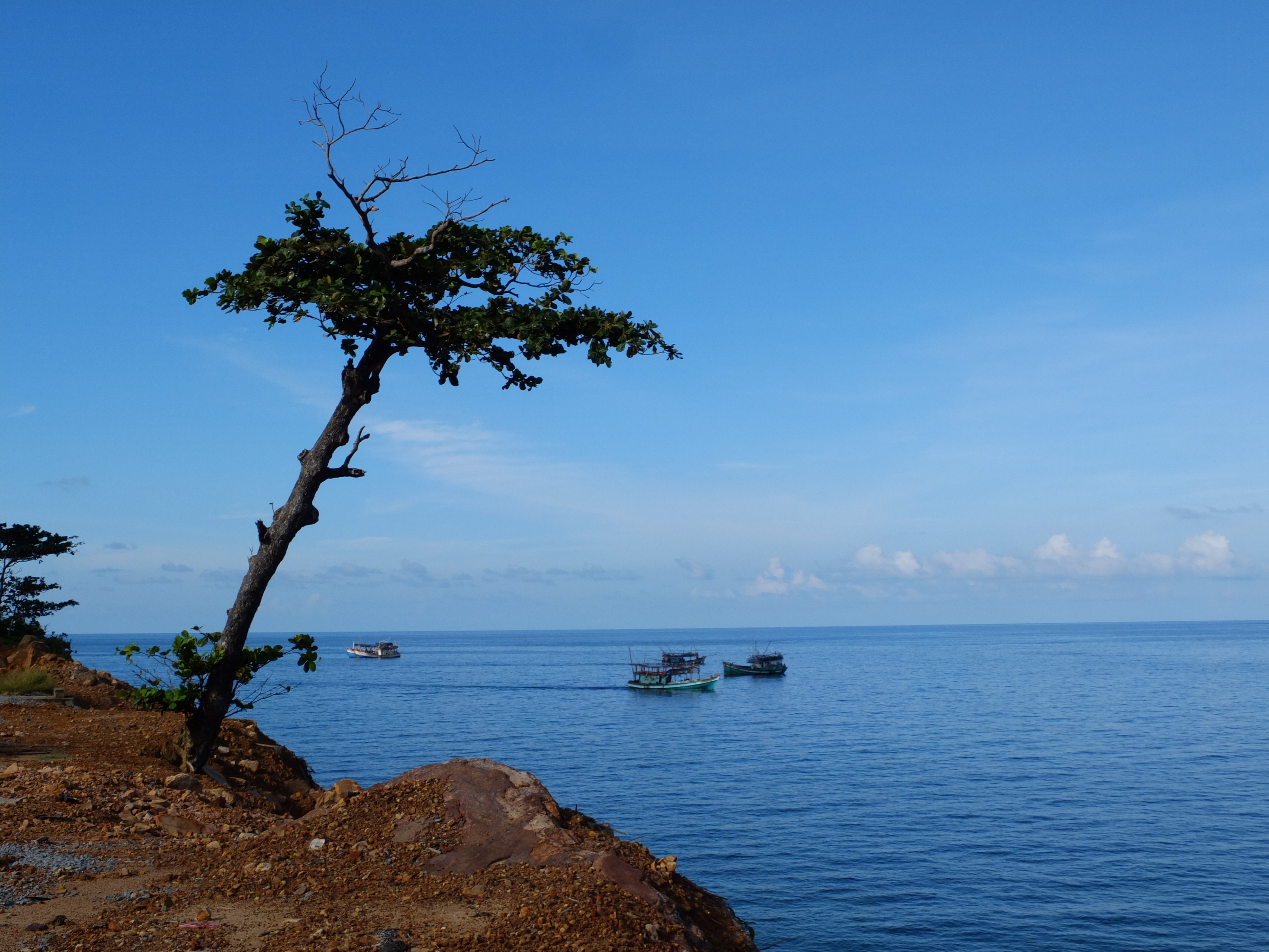 Xanh l&agrave; m&agrave;u chủ đạo tr&ecirc;n con đường ven biển của đảo Thổ Chu