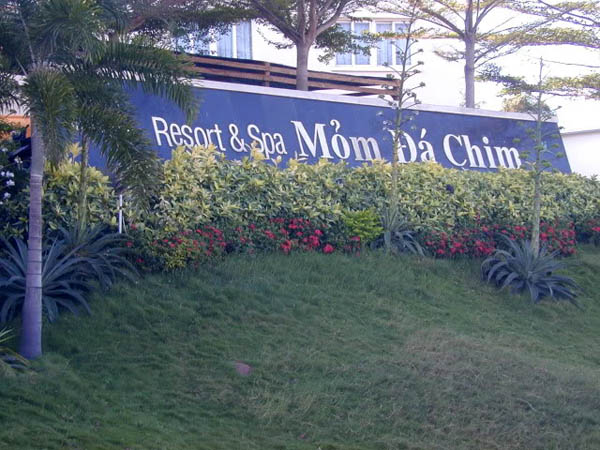 Chua chát đại gia địa ốc 'bán lúa non' thoát lầy