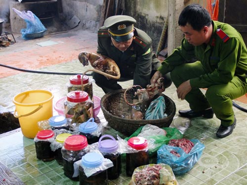 Táo tợn giả danh kiểm lâm cướp số động vật hoang dã giá 500 triệu