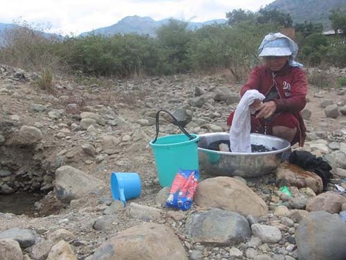 Vật vã trong khô hạn