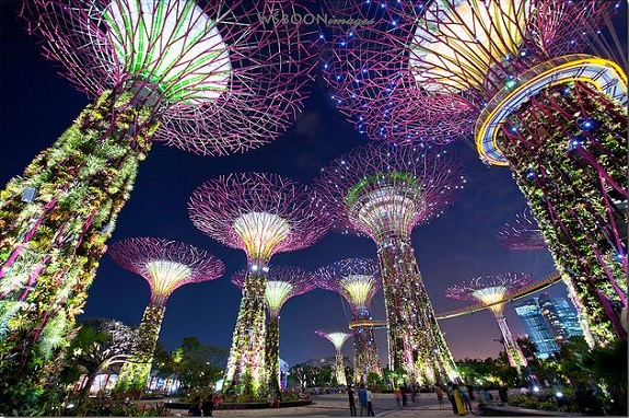Singapore và những câu chuyện mới