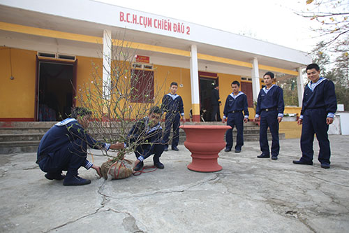 Trang tr&iacute; c&agrave;nh đ&agrave;o cũng l&agrave; c&ocirc;ng việc kh&ocirc;ng thể thiếu để kh&ocirc;ng kh&iacute; Tết th&ecirc;m phần rộn r&agrave;ng