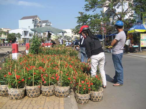 Hoa kiểng vẫn tr&agrave;n ngập trưa ng&agrave;y 30 tết