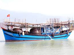 Một tàu câu mực khơi trúng 2,4 tỉ đồng