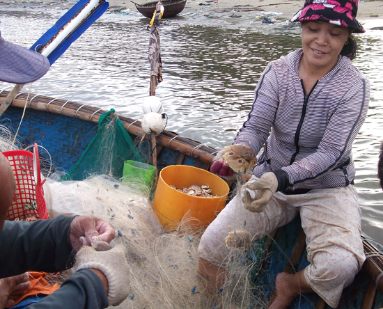 Đi lưới ghẹ những ngày cuối năm