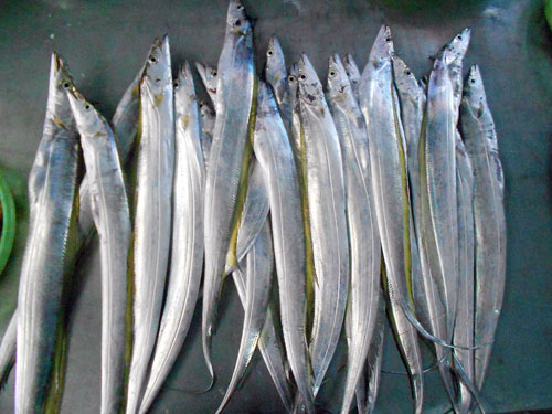 Nhớ con cá hố tháng giêng