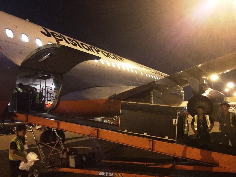 Chuyến &ldquo;chuy&ecirc;n cơ&rdquo; bằng m&aacute;y bay Airbus A320 d&agrave;nh ri&ecirc;ng cho 15 con chim c&aacute;nh cụt