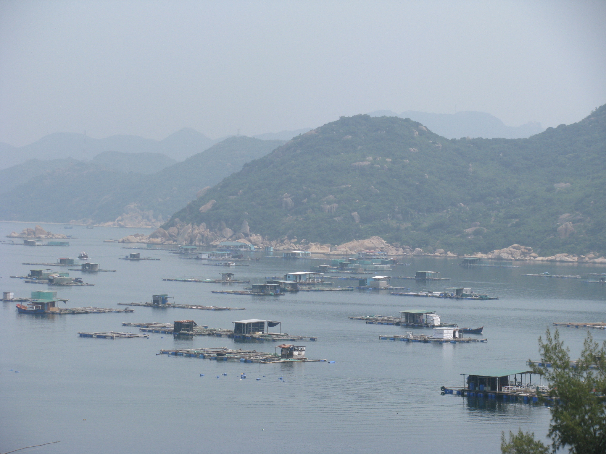 ... với những b&egrave; nu&ocirc;i t&ocirc;m