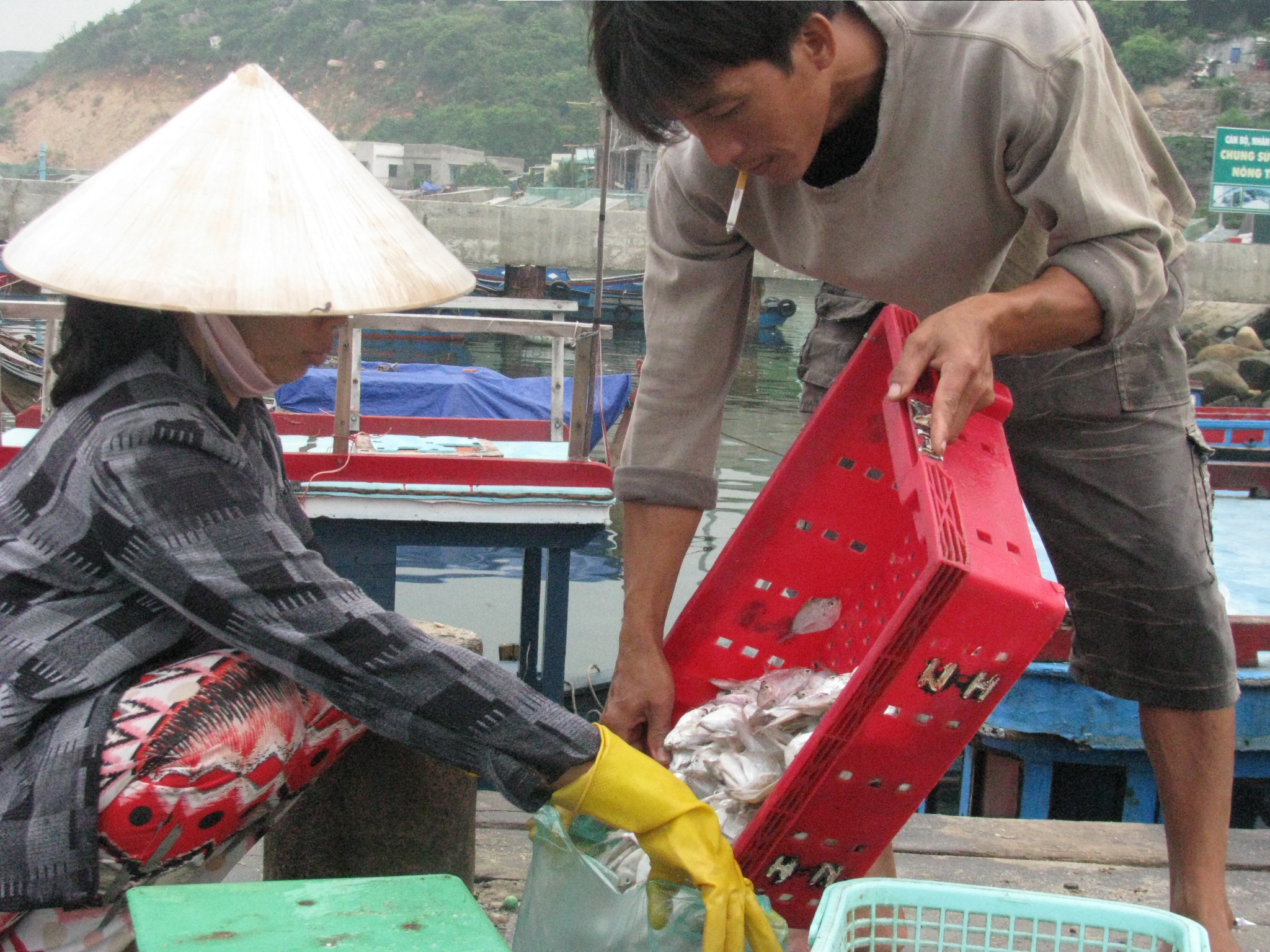 Chợ c&aacute; buổi sớm mai. C&aacute; n&agrave;y chỉ mua cho t&ocirc;m h&ugrave;m ăn