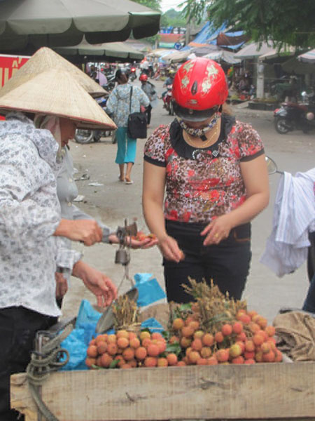 Quả vải Trung Quốc xâm nhập Việt Nam
