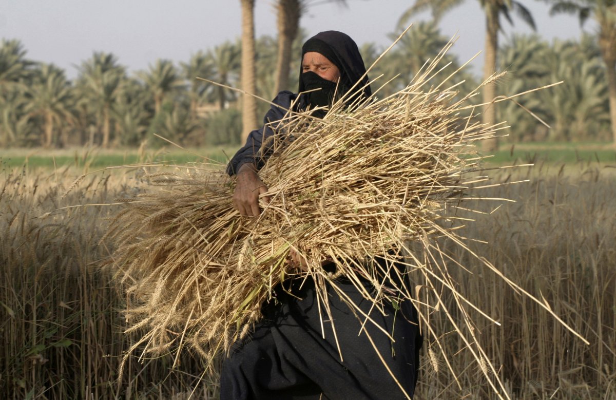 IS kiểm soát “bao tử” ở Iraq