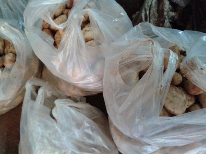 Những bao khoai Trung Quốc được biến thành khoai Đà Lạt chờ đưa đi tiêu thụ.