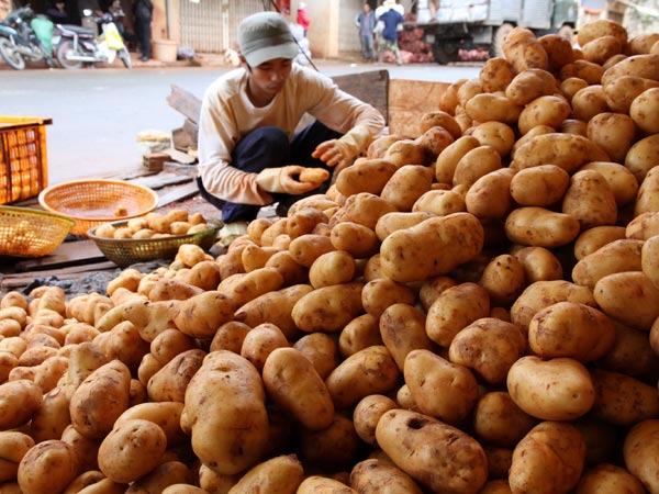 Khó kiểm soát rau quả Trung Quốc