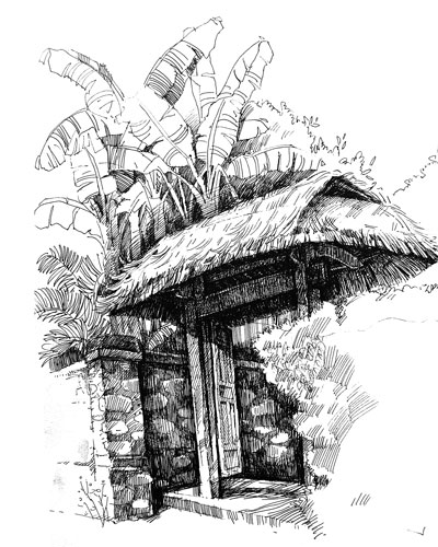 Minh họa: TRẦN PHÚ