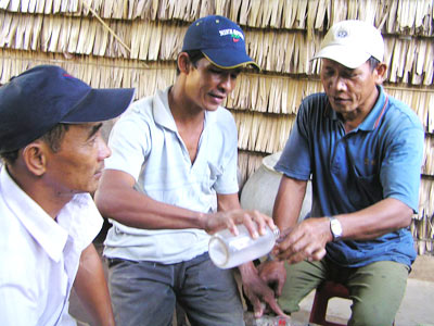 Ôi, miền Tây quê tôi…