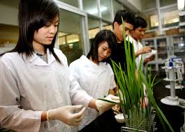 Chủ động gắn kết nghiên cứu với chuyển giao công nghệ