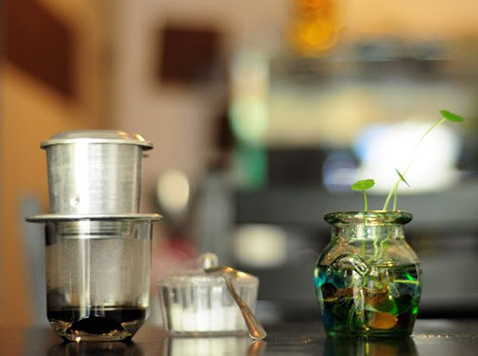 Vì Sài Gòn bao dung, kiểu gì cũng còn một góc cho mình...