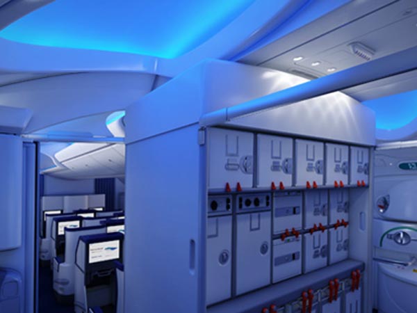 Nội thất b&ecirc;n trong chiếc Giấc mơ bay Boeing 787