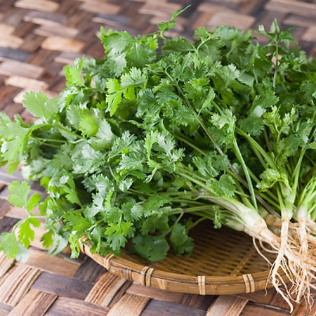 Rau m&ugrave;i c&oacute; t&aacute;c dụng k&iacute;ch th&iacute;ch ti&ecirc;u h&oacute;a, chữa cảm c&uacute;m...