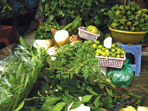 Rau rừng trở thành đặc sản