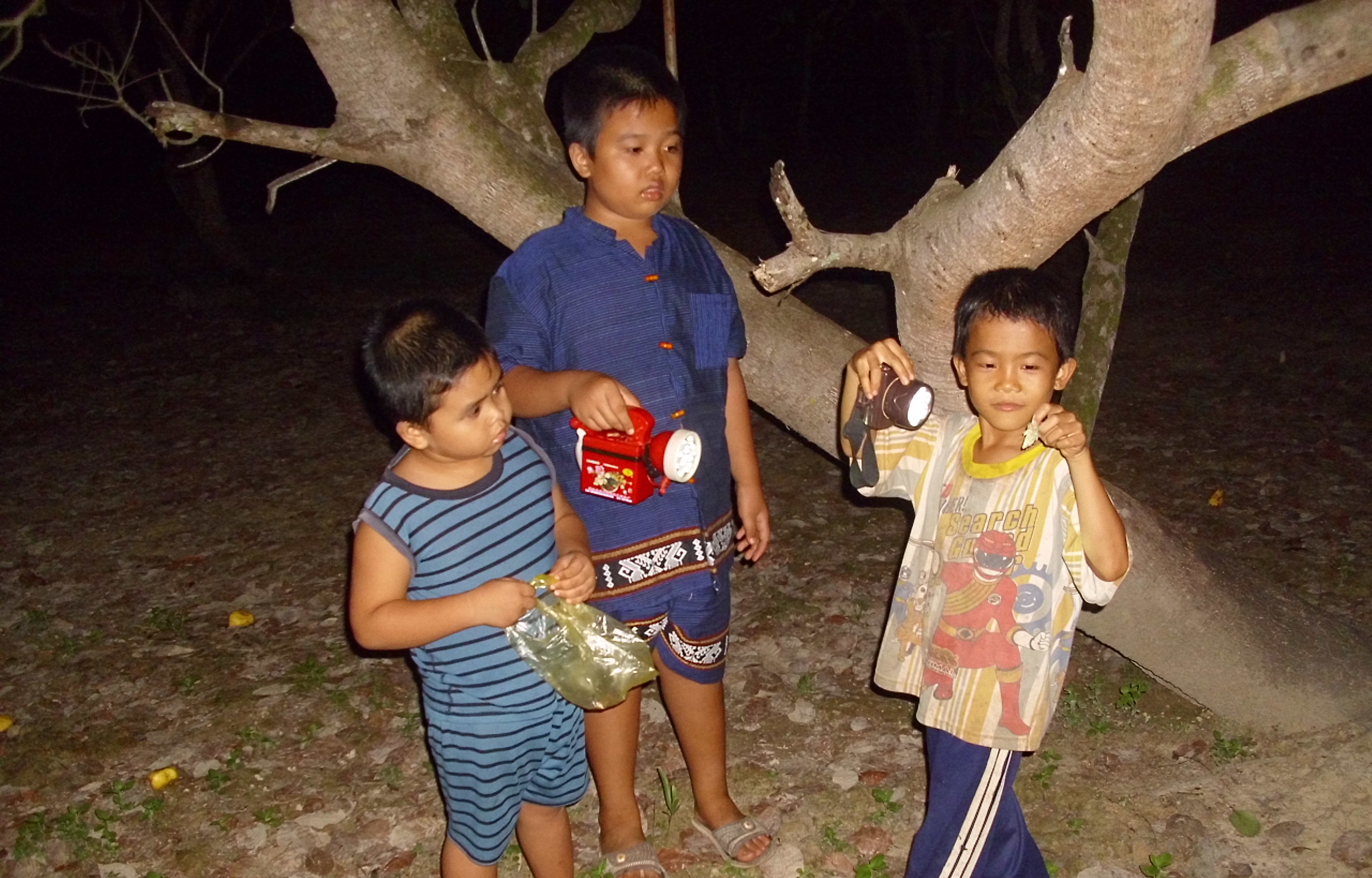 Khi m&ugrave;a ve sầu rộ l&ecirc;n (từ th&aacute;ng 2 đến th&aacute;ng 5 &acirc;m lịch) trẻ con thường bắt ve sầu l&agrave;m thức ăn v&agrave; cho người lớn l&agrave;m mồi nhậu v&igrave; nhiều chất đạm.