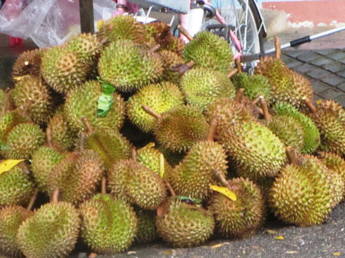 Thương lái thu gom cả sầu riêng non