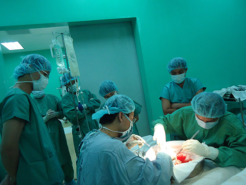 Thiếu nguồn tạng, đành chờ chết