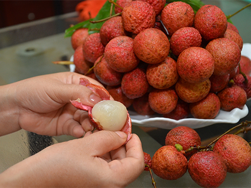Khỏe hơn nhờ trái vải