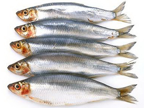 Ax&iacute;t b&eacute;o omega-3 trong c&aacute; c&oacute; nhiều lợi &iacute;ch cho sức khỏe
Ảnh: The Telegraph