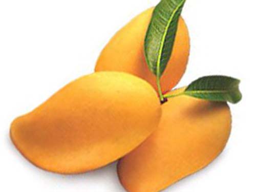 Bất ngờ về dinh dưỡng của xoài