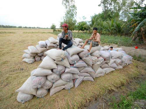 Chủ thể không được bảo vệ