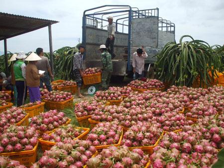 Xuất khẩu nông, lâm, thủy sản giảm “giật mình”