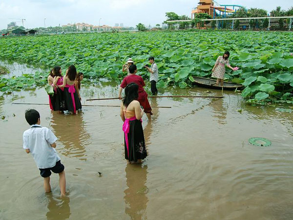 Cư dân mạnh những ngày gần đây cho rằng trào lưu chụp ảnh áo yếm với hoa sen là biến tướng, phản cảm, mặc mà nhưng... không mặc, tuy nhiên cũng có nhiều ý kiến chưa đồng tình.