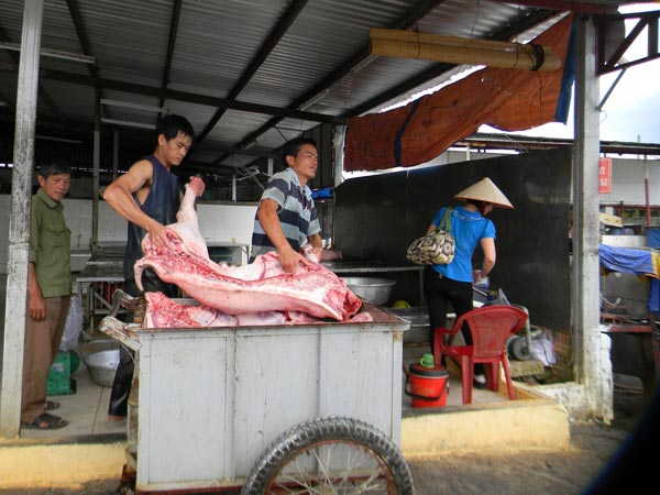 Heo hơi miền Bắc đi ngược vào Nam