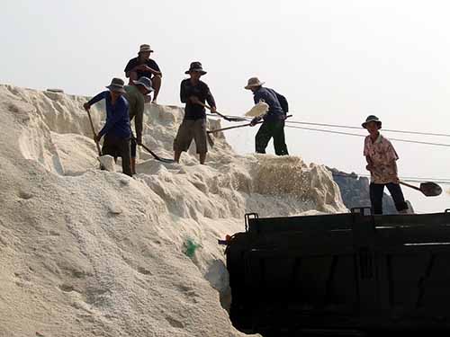 Diêm dân ở tỉnh Ninh Thuận trúng đậm mùa muối nhưng không vui vì giá rẻ
Ảnh: LÊ Trường