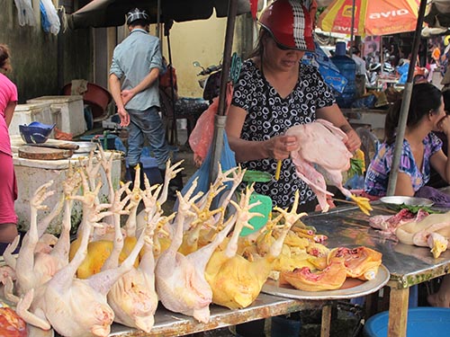 Lo lắng bệnh mới nổi