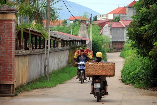 Khắp đường l&agrave;ng ng&otilde; x&oacute;m người d&acirc;n hối hả chở vải đi ti&ecirc;u thụ