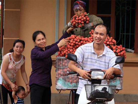 Cả nh&agrave; c&ugrave;ng g&oacute;p sức cho một m&ugrave;a vải bội thu