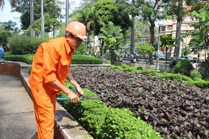 Giới thiệu 511 đoàn viên ưu tú cho Đảng