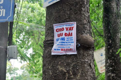 Cho vay tín chấp, vừa làm vừa run